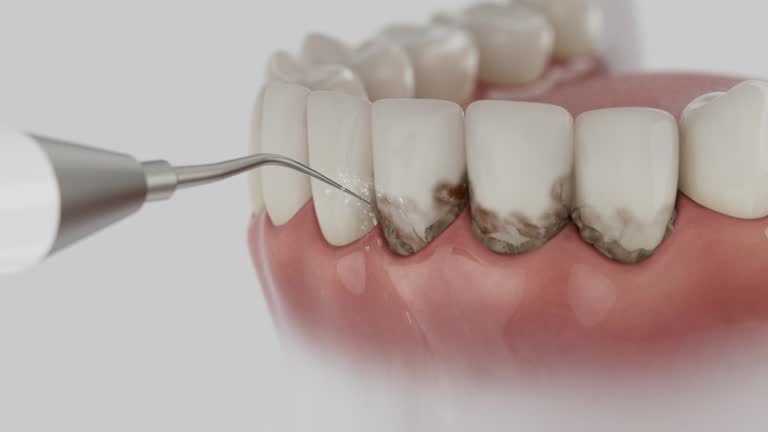 Reliable Dental contractor in Grantley, PA by Dentist Open Now